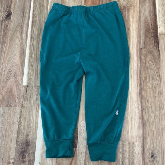 Kyte BABY Other - Kyte Baby Emerald Green Pants 12-18 months